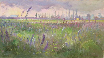 Αφίσα Delphiniums, Storm passing, 1991