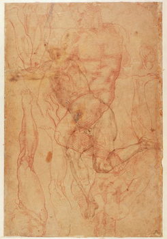 Αφίσα Figure Study