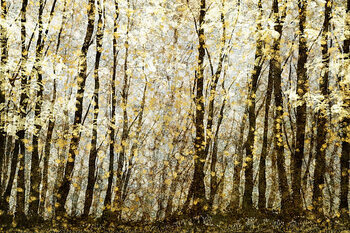 Αφίσα Forest filed with golden autumn leaves
