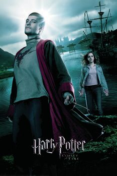 Αφίσα Harry Potter and the Goblet of Fire - Krum