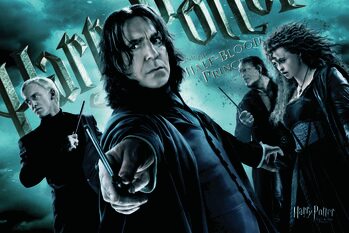 Αφίσα Harry Potter - Followers of Voldemort