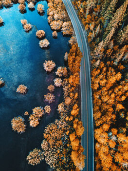 Αφίσα helicopter view of the pine forest along a lake