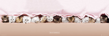 Αφίσα πόρτας Keith Kimberlin - kittens