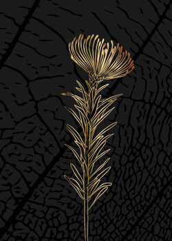 Αφίσα Minimalist botanical illustration. Golden outline of