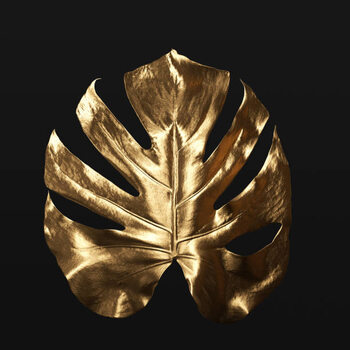 Αφίσα Monstera plant tropical leaf gold texture
