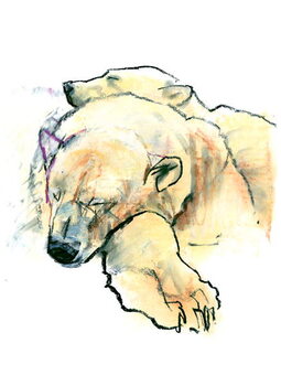 Αφίσα Pillow, 2016