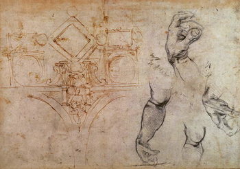 Αφίσα Scheme for the Sistine Chapel Ceiling, c.1508