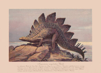Αφίσα Stegosaurus ungulatus, Late Jurassic, chromolithograph, published