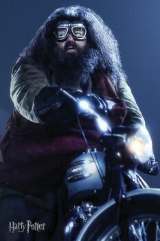 Εκτύπωση καμβά Harry Potter - Hagrid