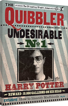 Εκτύπωση καμβά Harry Potter - Quibbler