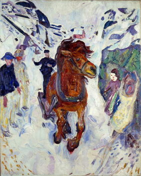 Εκτύπωση καμβά Horse Gallop
