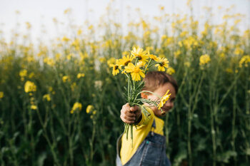 Εκτύπωση καμβά Little boy's hand holding picked yellow