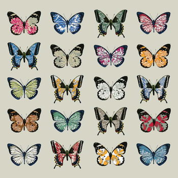 Εκτύπωση καμβά Papillon, 2008