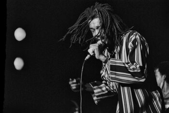 Εκτύπωση καμβά Peter Tosh in concert/Roma, 1980