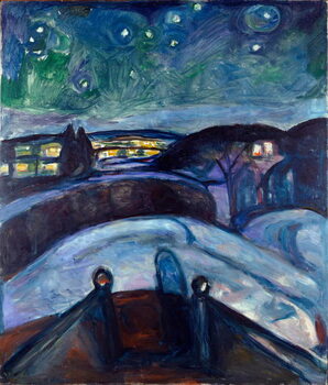 Εκτύπωση καμβά Star Night Night Landscape in Northern Europe.