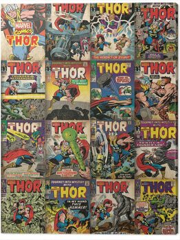 Εκτύπωση καμβά Thor - Covers