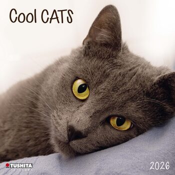 Календар 2027 Cool Cats