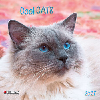 Календар 2027 Cool Cats