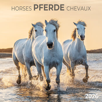 Календар 2027 Horses