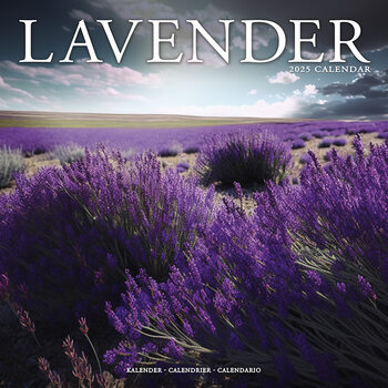 Календар 2027 Lavender