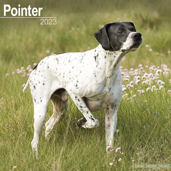 Календар 2027 Pointer
