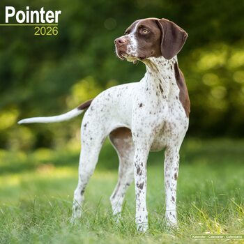 Календар 2027 Pointer