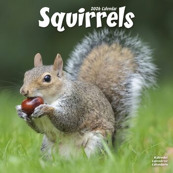 Календар 2027 Squirrels