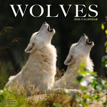 Календар 2027 Wolves