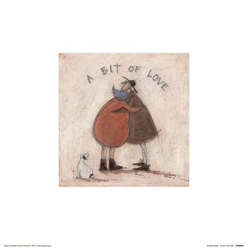 Sam Toft - A Bit of Love Картина