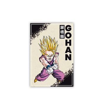 Магнити Dragon Ball - BZ/Gohan