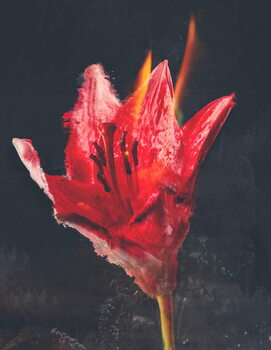 Плакат Combust, 2019