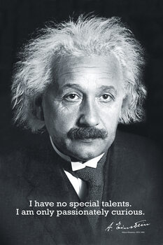 Плакат Einstein Curiosity
