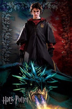 Плакат HARRY POTTER 4 - dragon