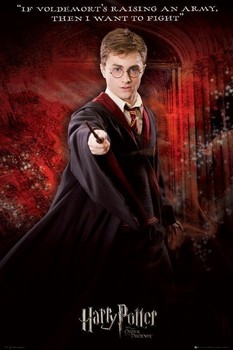 Плакат HARRY POTTER 5 - solo