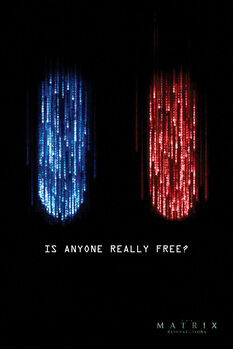 Плакат Matrix - Is anyone really free?