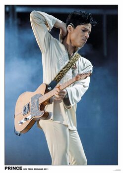 Плакат Prince