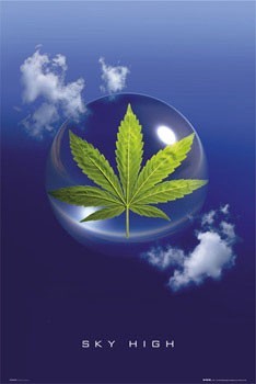 Плакат Sky high