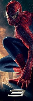 Плакат SPIDERMAN 3 - ledge
