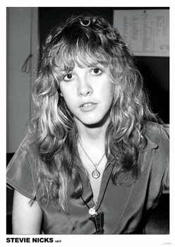 Плакат Steve Nicks
