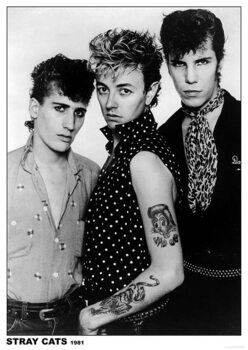 Плакат Stray Cats - Group
