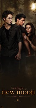 Плакат TWILIGHT NEW MOON - woods
