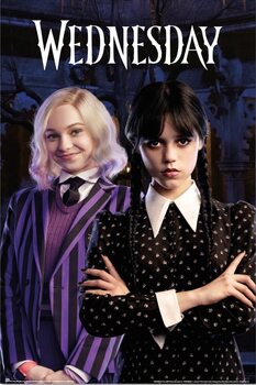 Плакат Wednesday - Enid