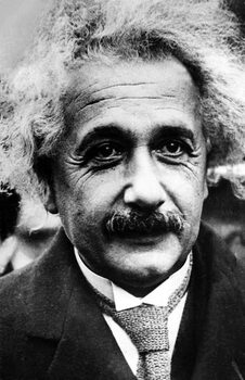 Картината върху платно Albert Einstein