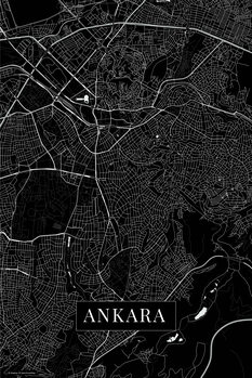 Картината върху платно Ankara black