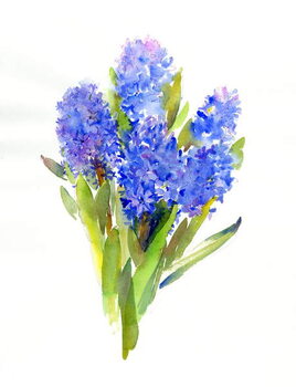 Картината върху платно Blue Hyacinth, 2014,