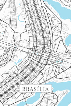 Картината върху платно Brasilia white