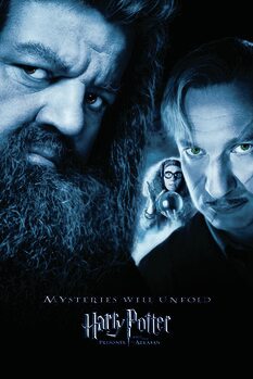 Картината върху платно Harry Potter - Hagrid & Lupin