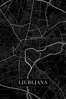 Картината върху платно Lubljana black