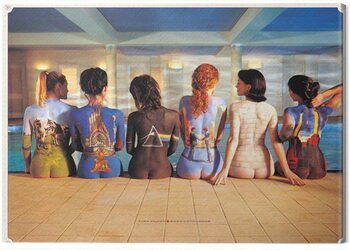 Картината върху платно Pink Floyd - Back Catalogue