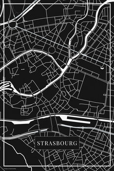 Картината върху платно Strasbourg black
